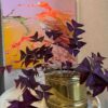 Splash – Bild 4