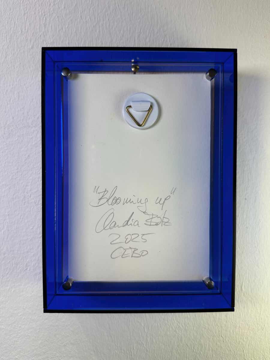 Supermini Blooming Up